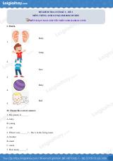 Đề thi học kì 1 Tiếng Anh 2 English Discover - Đề số 3